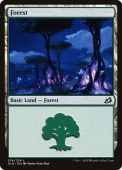 Forest Forest