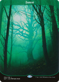 Forest Forest