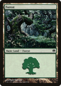 Forest Forest