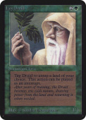 Ley Druid Ley Druid