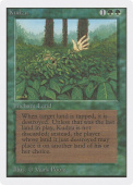Kudzu Kudzu