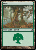 Forest Forest