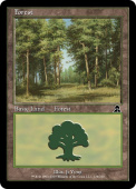 Forest Forest