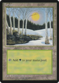 Forest Forest