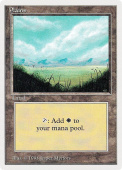 Plains Plains