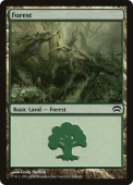 Forest Forest