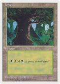 Forest Forest