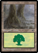 Forest Forest