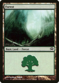 Forest Forest