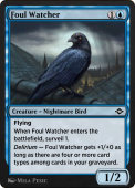 Foul Watcher Foul Watcher