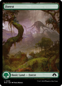 Forest Forest