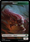 Insect Insect