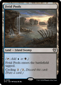 Fetid Pools Fetid Pools