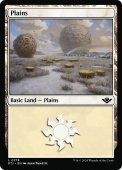 Plains Plains