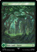Forest Forest