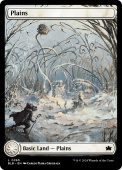 Plains Plains