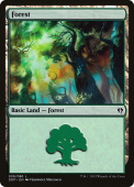 Forest Forest