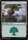 Forest Forest