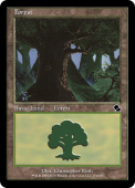Forest Forest